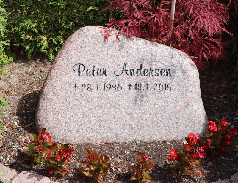 Peter Andersen7.JPG
